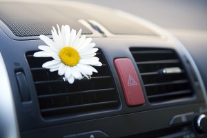 Autofit Wotschke GmbH - Lüftungsdüsen im Fahrzeug mit einer Blume